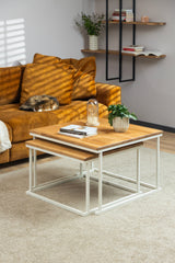 The Nurmenukk coffee table set stacked onto each other and styled with books and a flower for a cozy living room setting